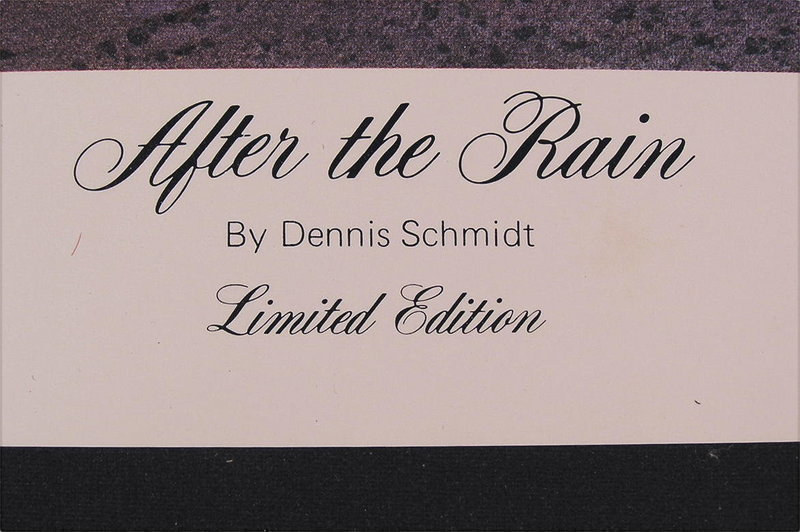 Limited Edition Print by Dennis Schmidt, After the Rain