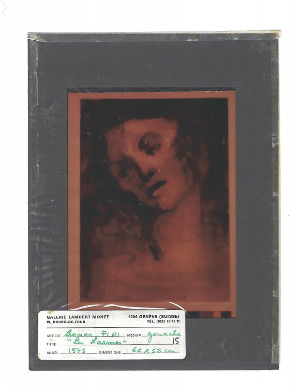 Rare Color Transparency Collection of Leonor Fini's Works
