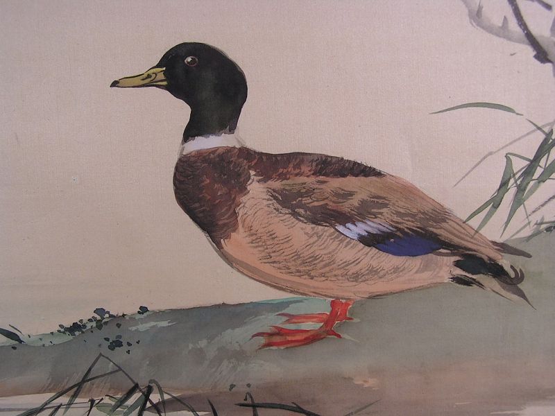 Beautiful Original Chinese Painting on Silk Duck signed by artist