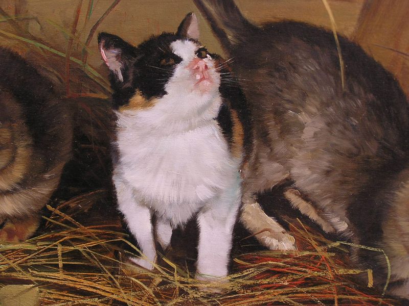 Amazingly Fine Oil Painting by Giovanni Sanvitale, 3 Kitten