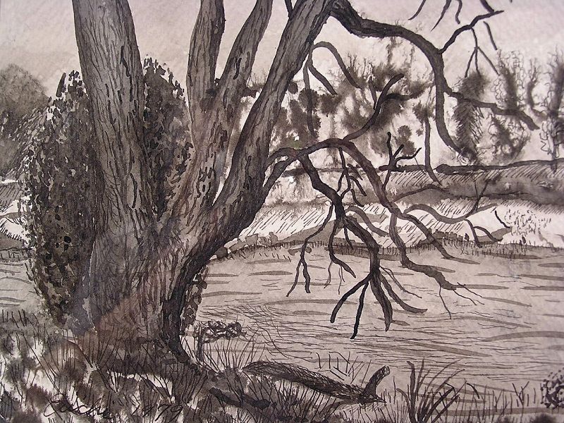 Unique Pen and Ink Drawing by Eiichi, Turtle Creek, 1979