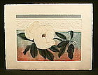 Lovely Etching, Magnolia Flower by Mary E. Davidson