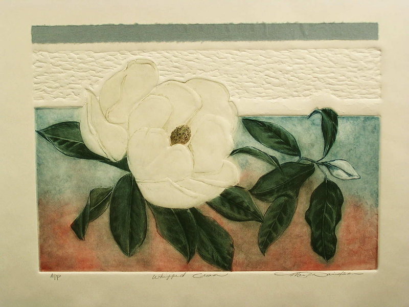 Lovely Etching, Magnolia Flower by Mary E. Davidson