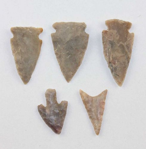 5 Authentic US native Indian Neolithic Silex stone Arrow points!