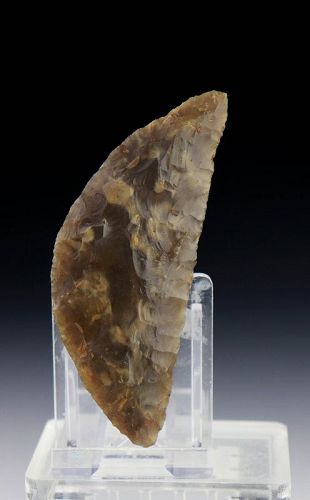 An exquisite Danish Neolithic Flint Sickle, 2400-2000 BC!