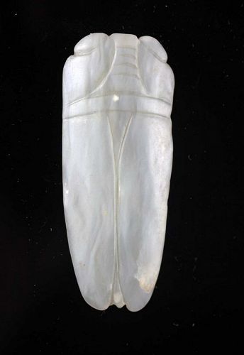 Exquisite Chinese Jade Cicada pendant, Ming Dynasty or earlier!