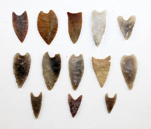 Important selection of Danish Neolithic silex flanged arrow heads!
