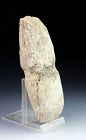 Scarce Danish Neolithic Axe / Adze w. 'special fitting', 4th mill BC!