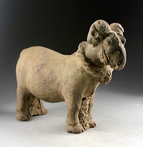 Massive Majapahit pottery sculpture of a Goat, 13th.-14th. century AD.