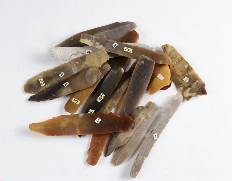Collection of 19 Danish Mesolithic Flint Blades, 5th-4th mill BC