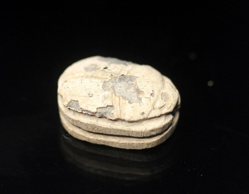 Nice steatite stone scarab, Egyptian, New Kingdom c. 1539–1075 BC