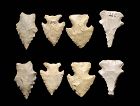 P.F. Wulff collection: Lot of 4 Paleo-Indian silex points, c.8.000 BC