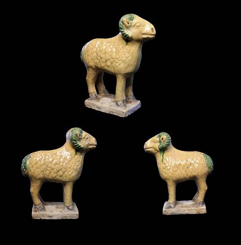 Finely glazed tomb pottery model of a Sheep, Chinese Ming Dynasty