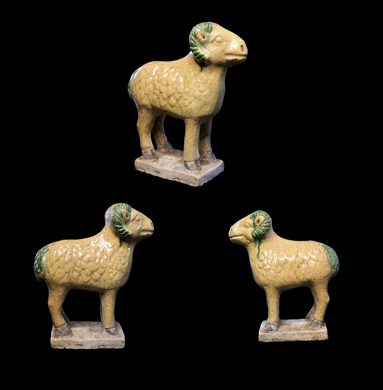 Finely glazed tomb pottery model of a Sheep, Chinese Ming Dynasty