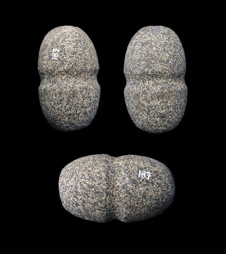 Fine speckled stone Mace head, Danish Neolithic, 3rd. mill. BC