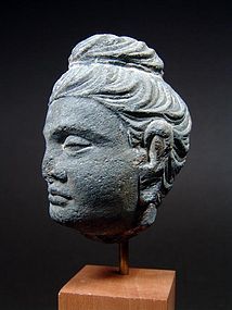 GANDHARA Grey Schist Head of Buddha, 2-3rd Century AD.