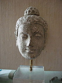 Gandhara, Stucco Head of Buddha, 3rd/4th Cent. AD