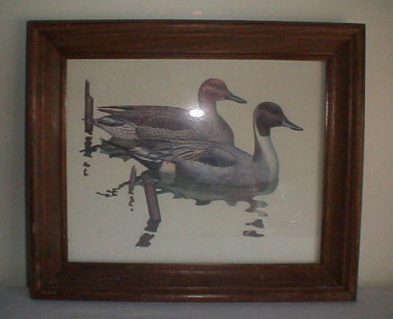 Brian K Wheeler Waterfowl/Duck Framed Print
