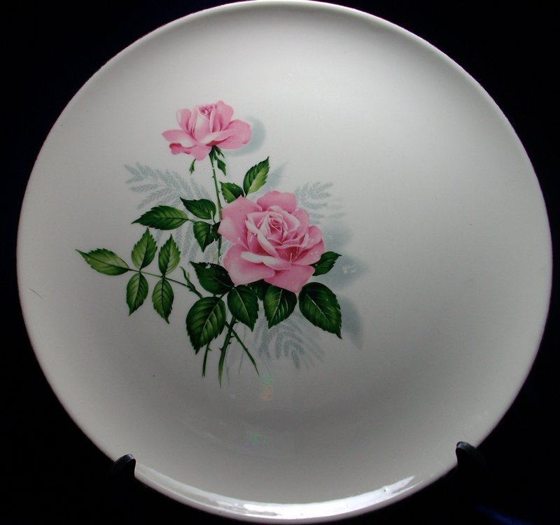 Taylor Smith &amp; Taylor Summer Rose Gold Dinnerware
