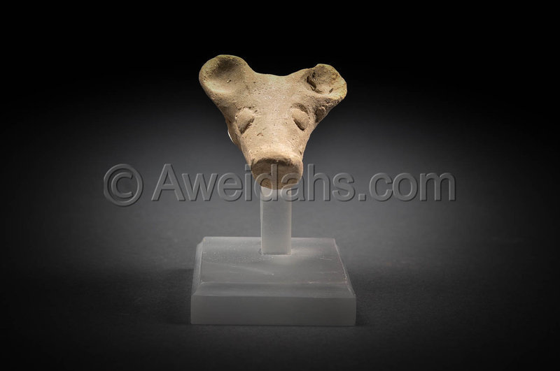 Ancient philistine fragmentary animal head, 1200 BC