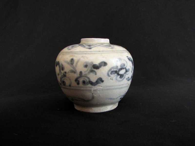 Annamese Blue and White Porcelain Jar