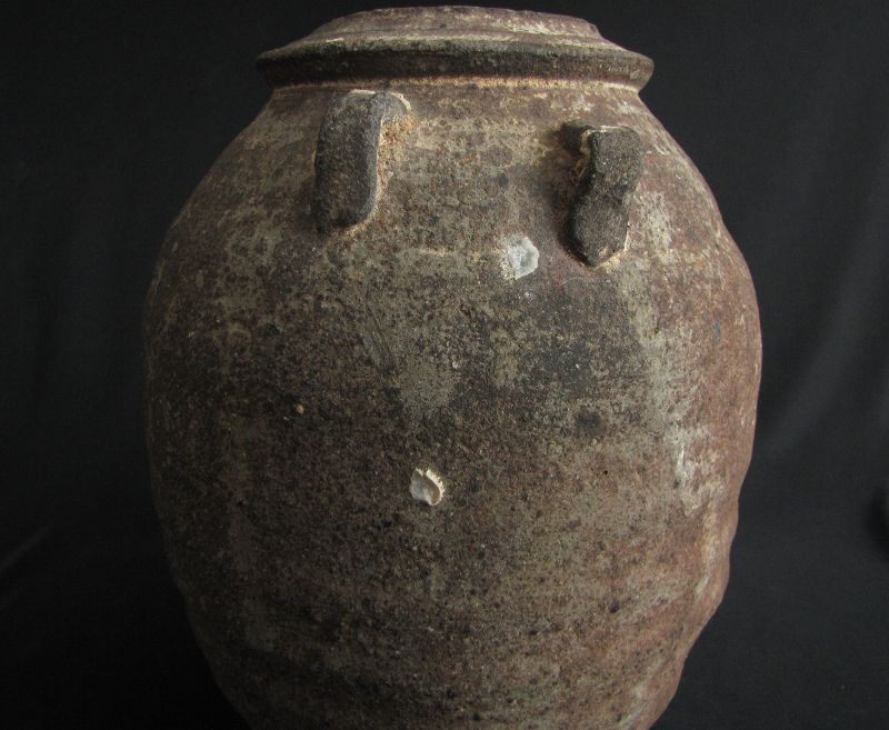 Sri Lanka Jar Recovered from the Sea