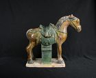 Ming Dynasty Sancai Horse