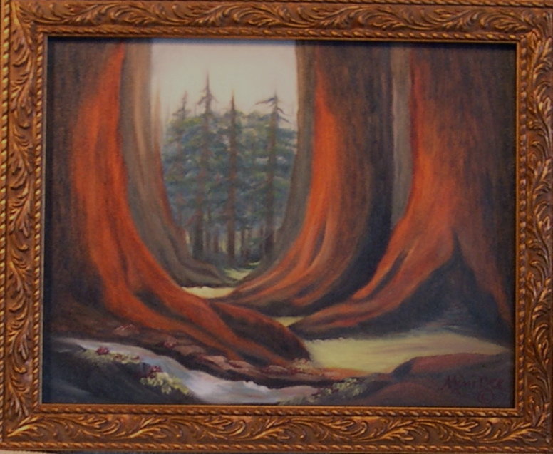 Signed Oil O/C Painting Landscape Redwoods Trees