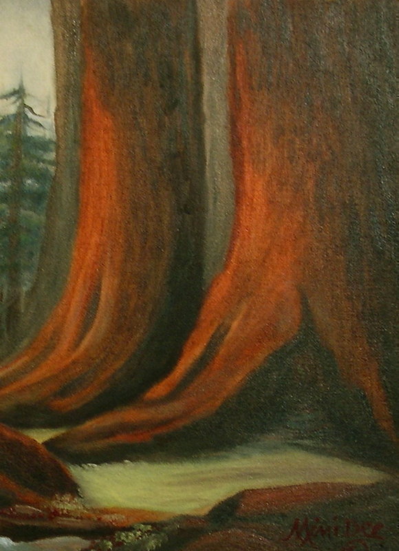 Signed Oil O/C Painting Landscape Redwoods Trees