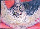 Signed Mimi Dee American Study Portrait Painting Grey Tabby Cat