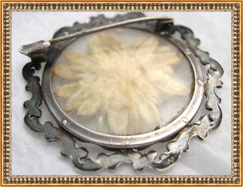 Vintage Silver Pendant Pin Edelweiss Crystal Symbolic