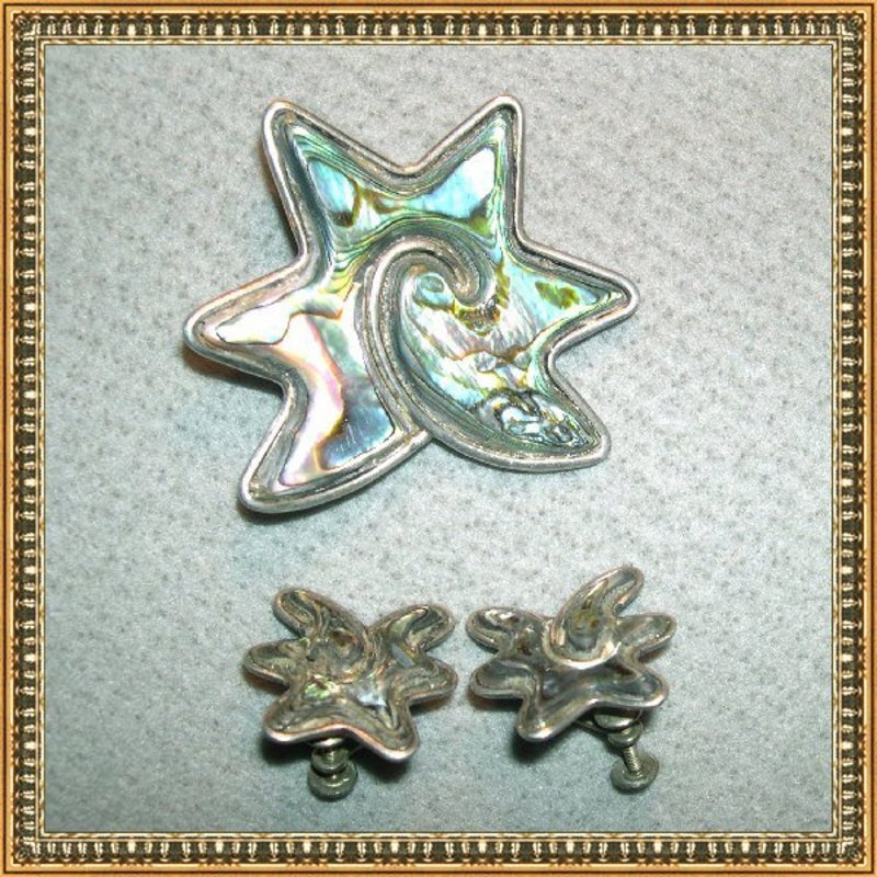Vintage Hecho en Mexico Mark Abalone Sterling Pin Earring Star Fish