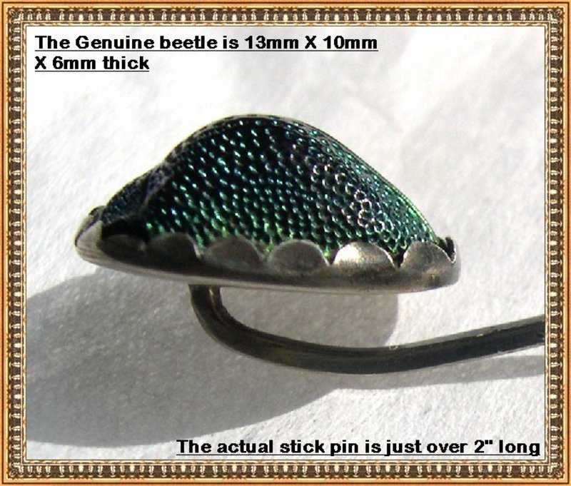 Vintage Unmarked Arts Crafts Scarab Beetle Sterling Stick Pin