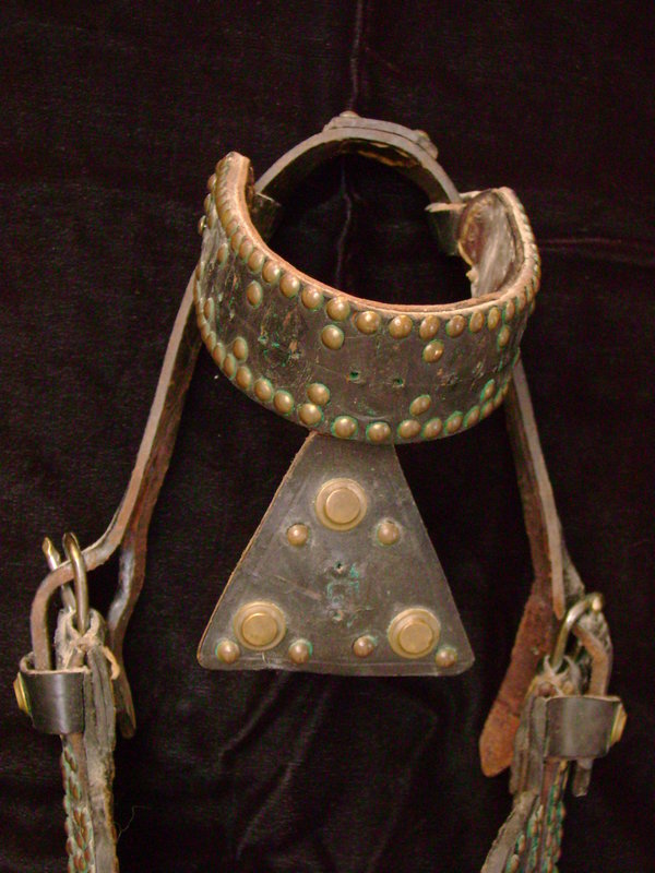Mexican Bridle with Brass Tacks &amp; Rivets