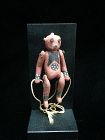 A Rare Miniature Hopi Puppet Koyemsi The Mud Head Clown