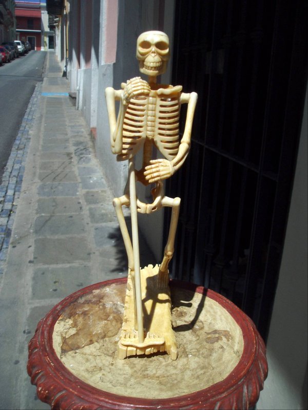 Skeleton Desk Size Individual Bone Construction Item 750421