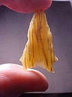 San Patrice Arrowhead Fossilized Palmwood w/video