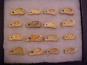 16 Bone Pendants found together in Virginia, Hopewell