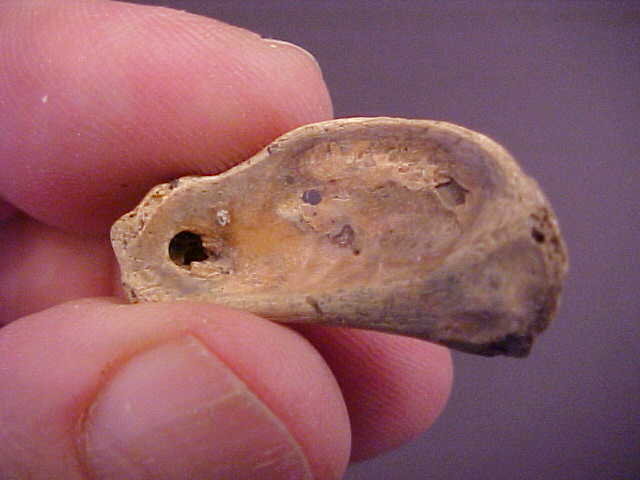 16 Bone Pendants found together in Virginia, Hopewell