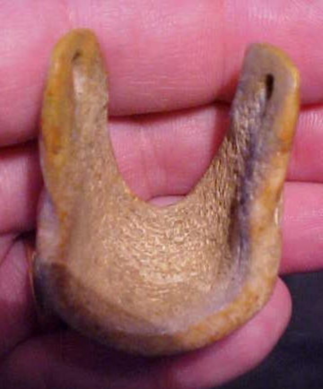 Bone Pendant or Atlatl Finger Rest Ex. Tom Davis