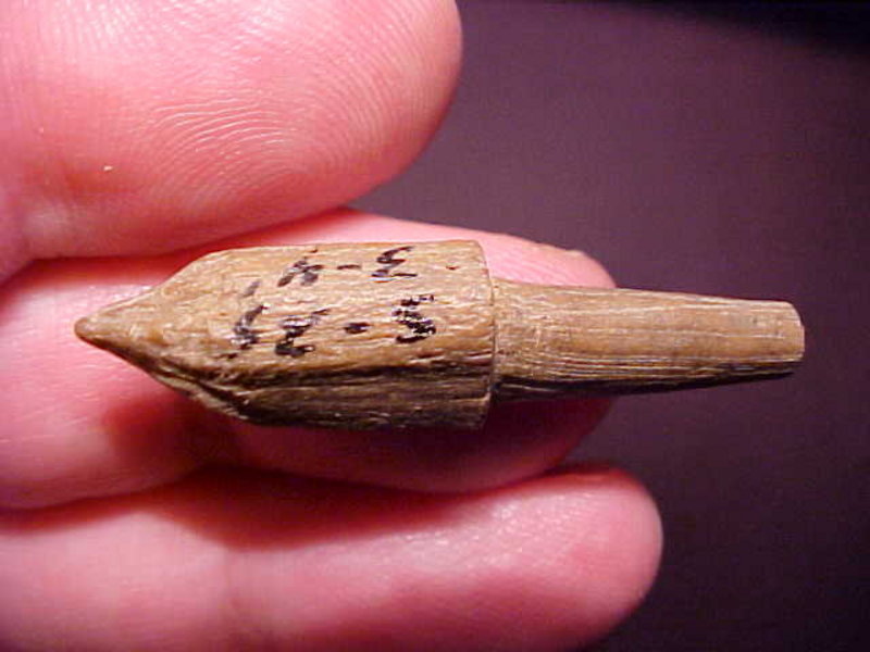 Bone Points from Columbia River, Oregon, Pictured