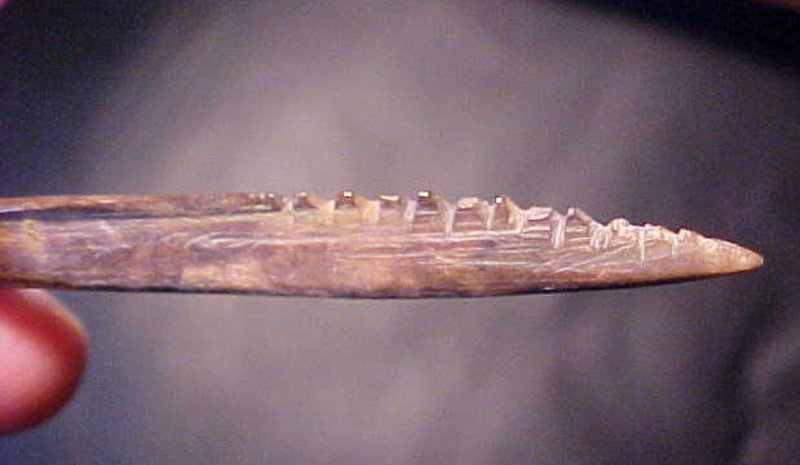 Rare Archaic Bone Point Nightfire Carrol Howe Pictured