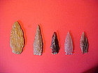 Various Petrified Wood Arrowheads
