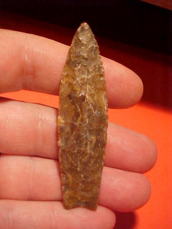 Extremely Rare Eden Arrowhead from Oregon Bogwood