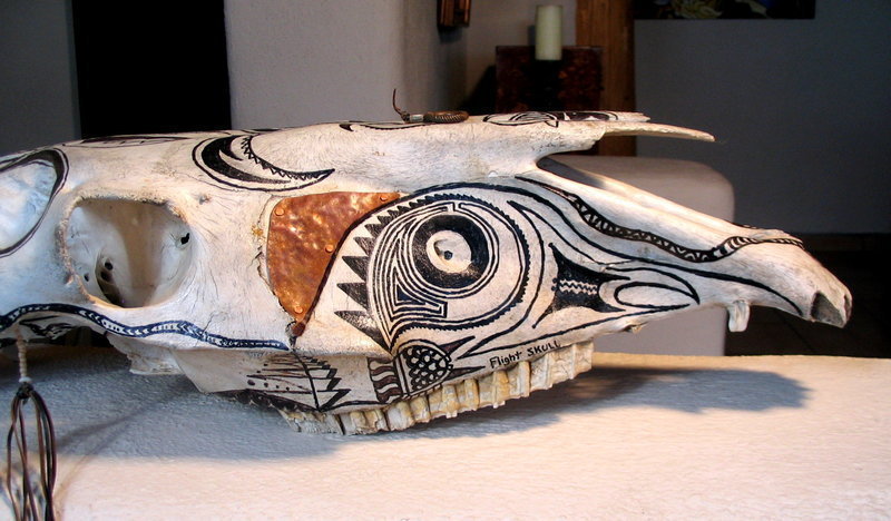 Southwestern Painted &amp; Decorated Steer Skull