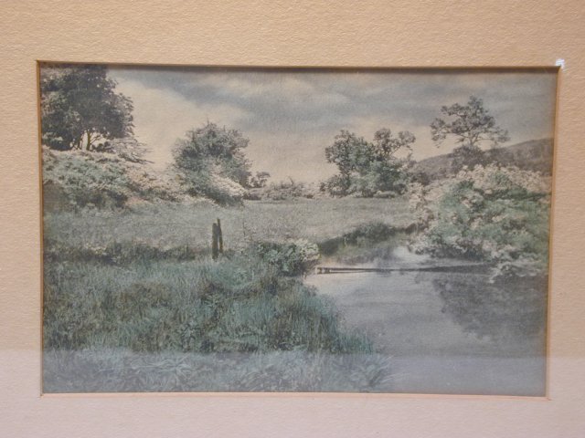 Framed Hand-tinted Photograph