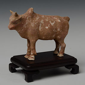 Tang Chinese Pottery Standing Ox