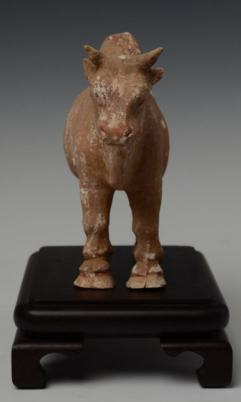 Tang Chinese Pottery Standing Ox