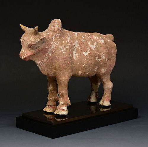 Northern Qi Dynasty, Chinese Pottery Standing Ox
