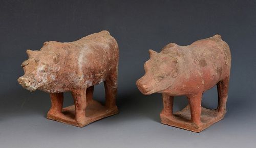 Tang Dynasty, A Pair of Chinese Pottery Standing Cow